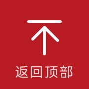 规则和全球网络